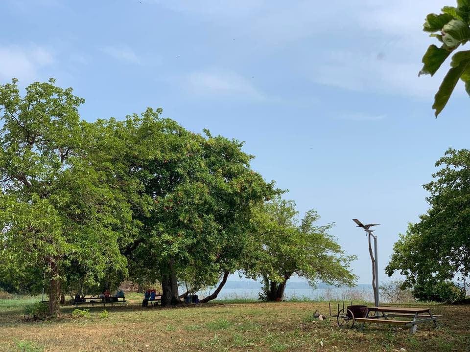 Dã ngoại trong ngày