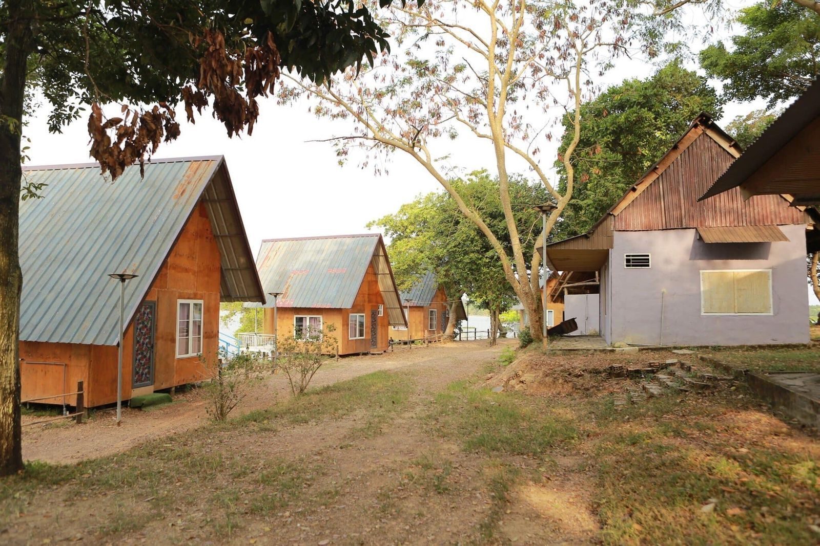 Bungalow và nhà gỗ